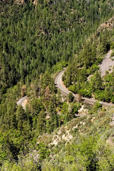 Naturskön Utsikt Över Bergen Och Tallar Skogen — Stockfoto