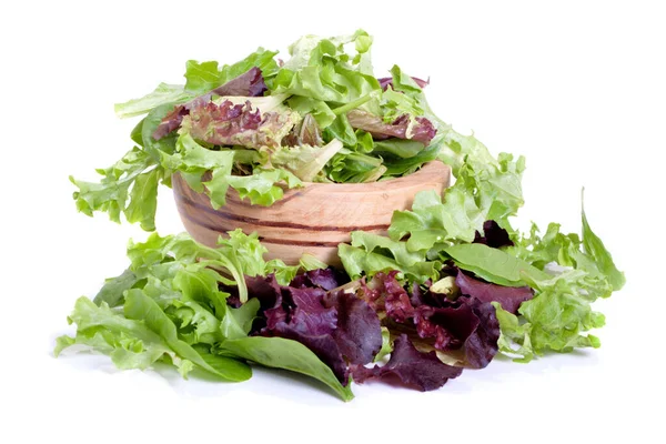 Organik bahar karışık yeşil salata yaprakları