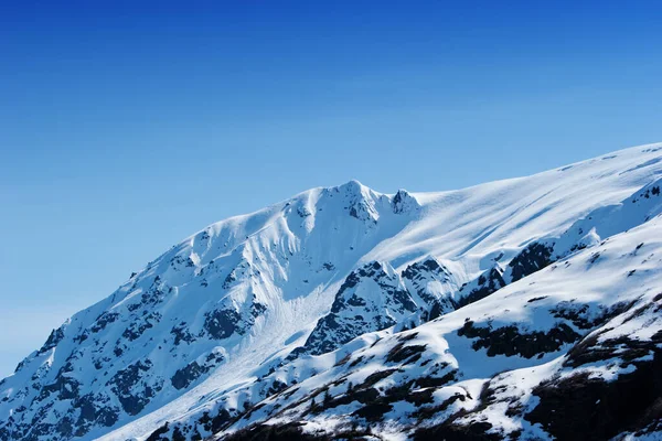 Snöiga Bergstoppar Alaska Stockfoto