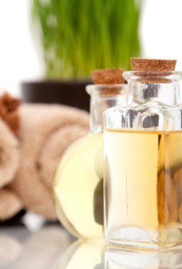 beyaz zemin üzerine çeşitli spa öğeleri