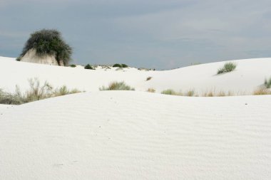 Beyaz kum tepecikleri Ulusal Park NM