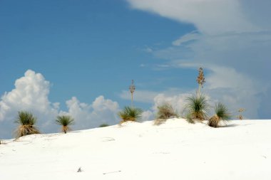 New Mexico Beyaz Kum Tepeleri