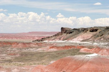 Arizona 'da boyalı çöl manzarası