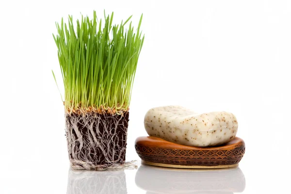 Fresh wheatgrass and bar of soap for spa decor