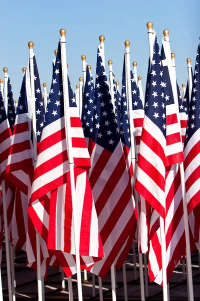 American Flags Ceremony — Stock Photo, Image