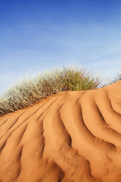 Dunas Arena Onduladas Suroeste —  Fotos de Stock