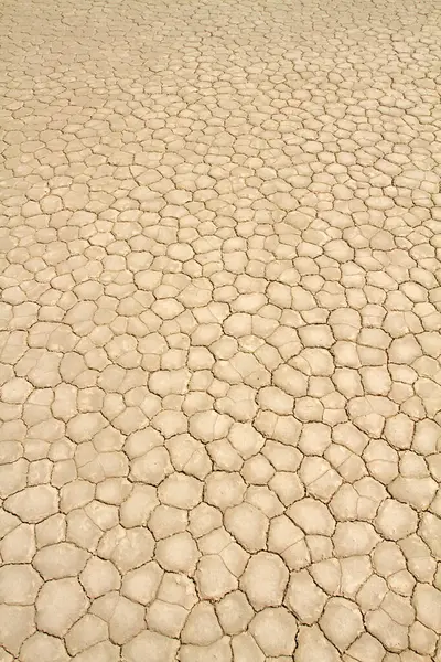 干裂的干旱沙漠地面纹理 — 图库照片