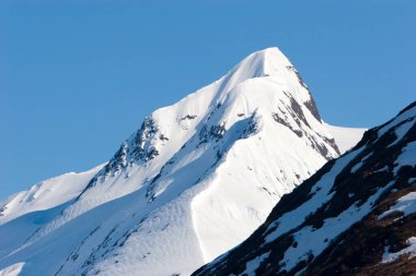 Alaska 'daki karlı dağ tepeleri