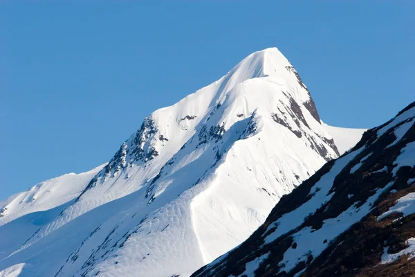 Montañas Nevadas Alaska —  Fotos de Stock