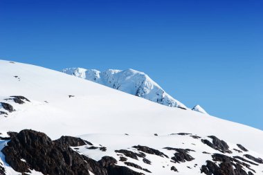 Alaska 'daki karlı dağ zirveleri