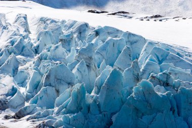 Seward, Alaska 'daki Hubbard Buzulu