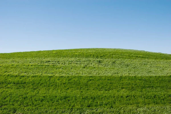 緑の芝生の丘と青空 — ストック写真