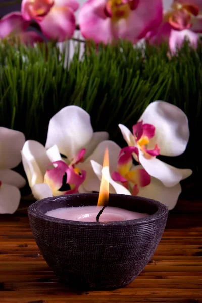 Kuurkaars Orchidee Bloemen Groen Gras Voor Alternatieve Therapie — Stockfoto
