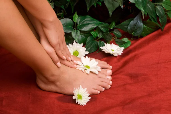 Hand Feet Woman — Stock Photo, Image