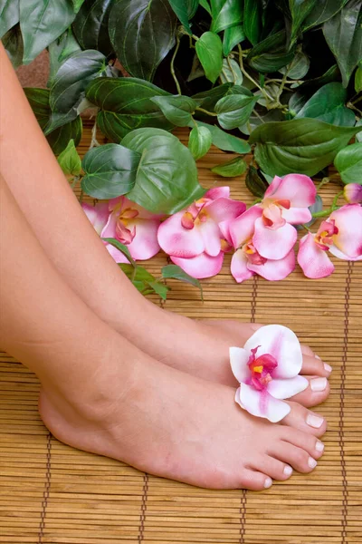 Pedicured Female Feet Orchid — Stock Photo, Image