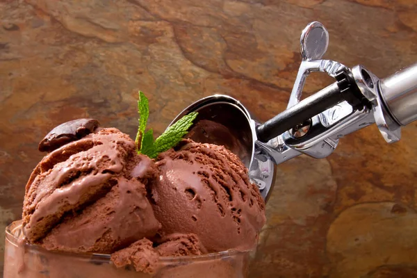 美味的巧克力冰淇淋当甜点 — 图库照片#