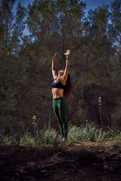 Full body of sporty female standing in Urdhva Hastasana pose for stretching spine and practicing meditation in nature