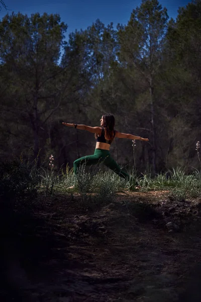 Back view full body of female outstretching arms in Virabhadrasana during peaceful meditation in nature among trees in sunny day