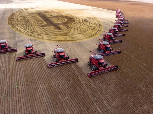 Récolte Massive Soja Dans Une Ferme État Mato Grosso Brésil — Photo