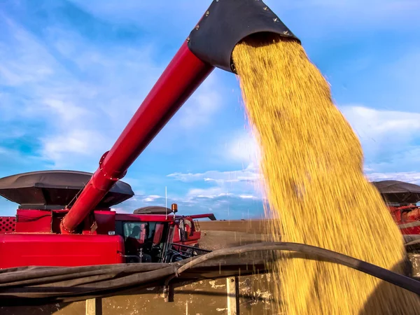 Masová Sklizeň Sóji Farmě Státě Mato Grosso Brazílie — Stock fotografie