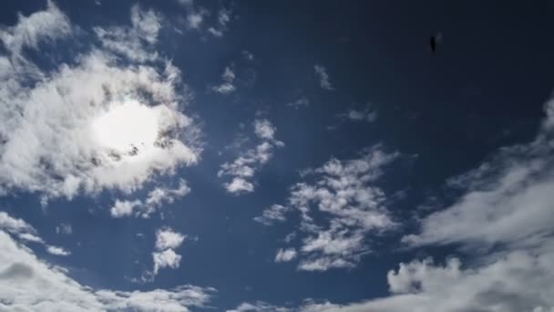 Cielo Blu Con Nuvole Sfondo Brasile — Video Stock