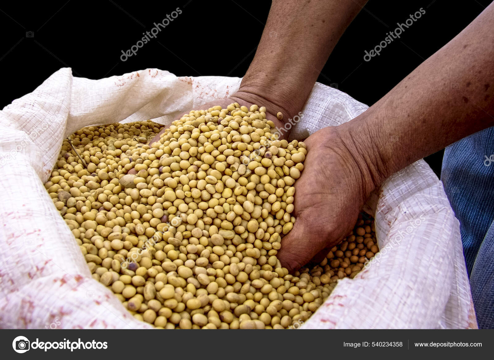 Soy Beans Fill A Cotton Bag Background, Grain, Soybean, Spoon Background  Image And Wallpaper for Free Download