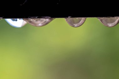 Yağmur damlalarının seçici odaklı aşırı yakın çekim metalik bir direğe asılıyor. Brezilya 'daki yeşil bahçe arka planı