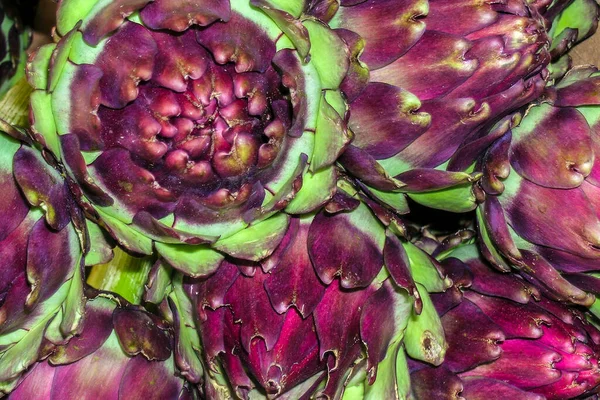 Globe Artichoke Cynara Cardunculus Scolymus Pattern Brazil — Stock Photo, Image