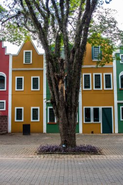 Tipik Hollanda binaları ve Holambra şehrindeki evler, Brezilya 'nın ana çiçek üreticisi ve Brezilya' nın en büyük göçmen kolonisine sahiptir.