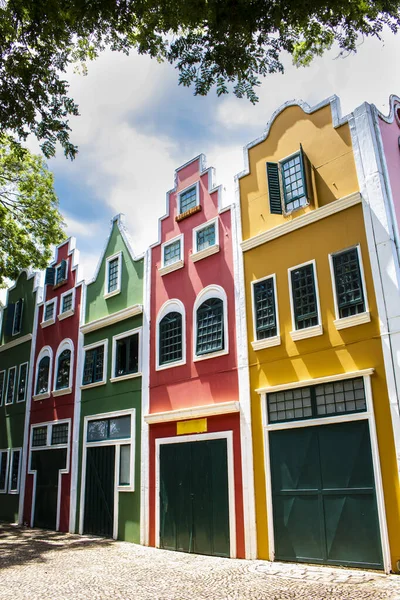 Typowe Holenderskie Budynki Domy Mieście Holambra Miasto Jest Głównym Producentem — Zdjęcie stockowe