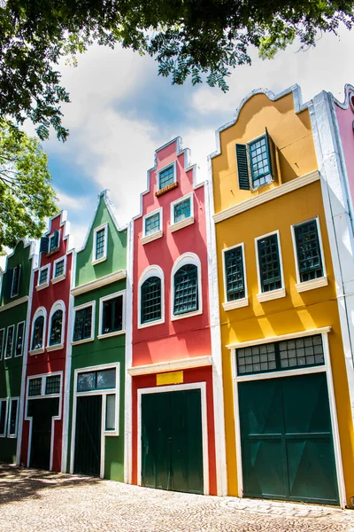 Tipik Hollanda binaları ve Holambra şehrindeki evler, Brezilya 'nın ana çiçek üreticisi ve Brezilya' nın en büyük göçmen kolonisine sahiptir.