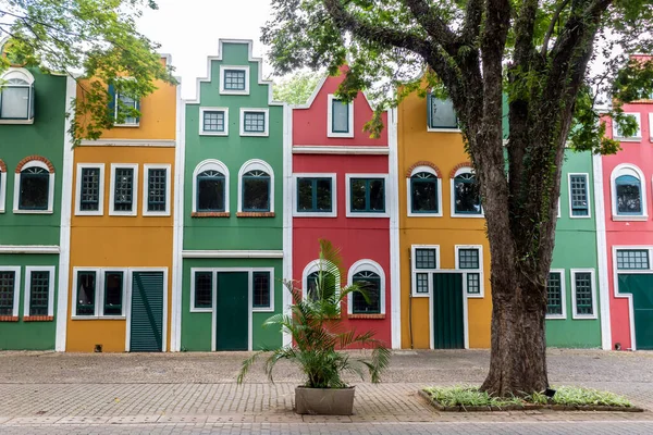 Typical Dutch Buildings Houses City Holambra City Main Flower Producer — Fotografia de Stock