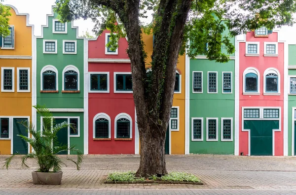 Tipik Hollanda binaları ve Holambra şehrindeki evler, Brezilya 'nın ana çiçek üreticisi ve Brezilya' nın en büyük göçmen kolonisine sahiptir.