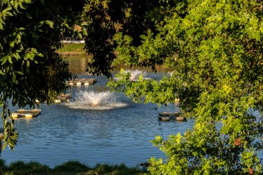 Brezilya 'da bir balık çiftliğinde tilapia yetiştirmek için kullanılan tanklar.
