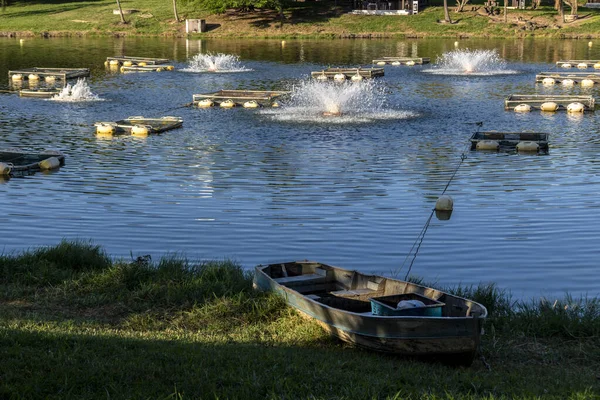 Brezilya 'da bir balık çiftliğinde tilapia yetiştirmek için kullanılan tanklar.