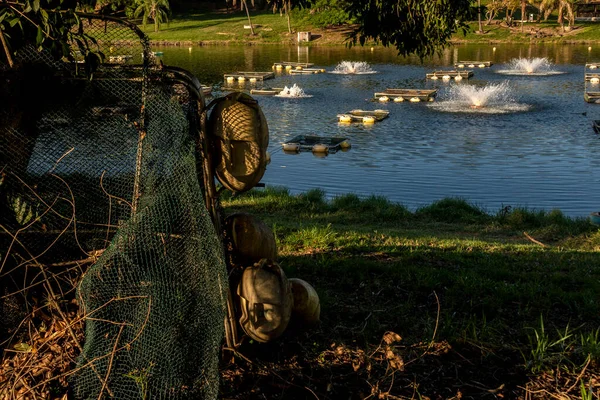 Brezilya 'da bir balık çiftliğinde tilapia yetiştirmek için kullanılan tanklar.