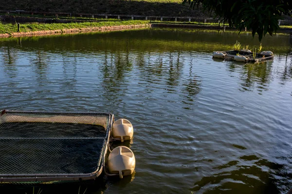 Tanks Für Die Aufzucht Von Tilapia Auf Einer Fischfarm Brasilien — Stockfoto