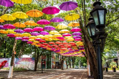 Holambra, Sao Paulo, Brezilya. 16 Mart 2022 'de Holambra şehrinde turistik bir yer olan Alameda, renkli şemsiyeler, Hollanda takunyaları ve tipik binalarla süslenmiştir..