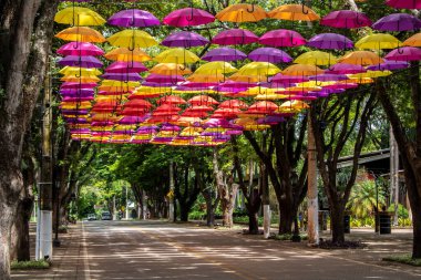 Holambra, Sao Paulo, Brezilya. 16 Mart 2022 'de Holambra şehrinde turistik bir yer olan Alameda, renkli şemsiyeler, Hollanda takunyaları ve tipik binalarla süslenmiştir..