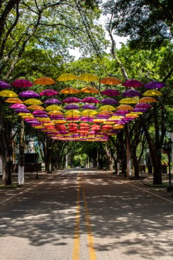 Holambra, Sao Paulo, Brezilya. 16 Mart 2022 'de Holambra şehrinde turistik bir yer olan Alameda, renkli şemsiyeler, Hollanda takunyaları ve tipik binalarla süslenmiştir..