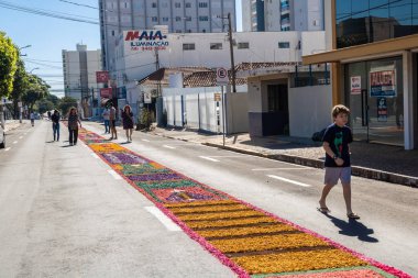 Marilia, Sao Paulo, Brezilya. 16 Haziran 2022 'de, dini temalı Talaş halıları, Corpus Christi' nin kutlaması için, Ayin 'in onuruna bir Katolik ayini..