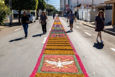 Marilia, Sao Paulo, Brezilya. 16 Haziran 2022 'de, dini temalı Talaş halıları, Corpus Christi' nin kutlaması için, Ayin 'in onuruna bir Katolik ayini..
