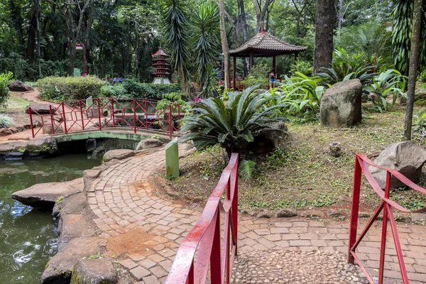 Ribeirao Preto Sao Paulo Brazil April 2015 Japanese Garden One — Foto Stock