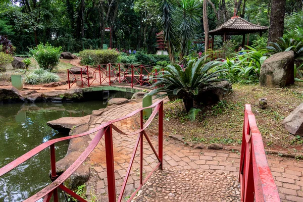 Ribeirao Preto Sao Paulo Brazil April 2015 Japanese Garden One — Foto Stock