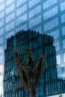 Glass modern building in Sao Paulo city, Brazil