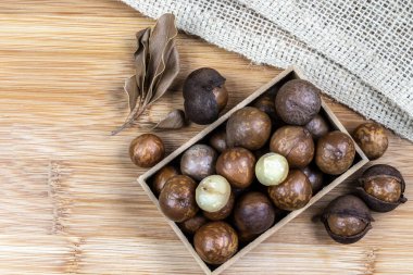 Brezilya 'daki ahşap masaya özenle odaklanmış Macadamia fıstığının yakın çekimi.