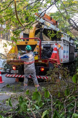 Sao Paulo, Brezilya, Eylül 08, 2021. Belediye çalışanları Sao Paulo 'nun güneyinde ağaç kesme işini üstlendi.