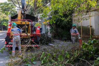 Sao Paulo, Brezilya, Eylül 08, 2021. Belediye çalışanları Sao Paulo 'nun güneyinde ağaç kesme işini üstlendi.