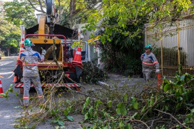 Sao Paulo, Brezilya, Eylül 08, 2021. Belediye çalışanları Sao Paulo 'nun güneyinde ağaç kesme işini üstlendi.