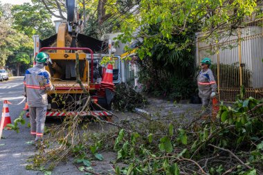 Sao Paulo, Brezilya, Eylül 08, 2021. Belediye çalışanları Sao Paulo 'nun güneyinde ağaç kesme işini üstlendi.